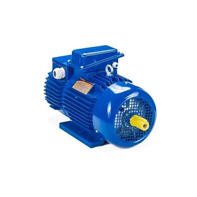 Электродвигатель 5МТН 012-6 2,2/1000 IM1001