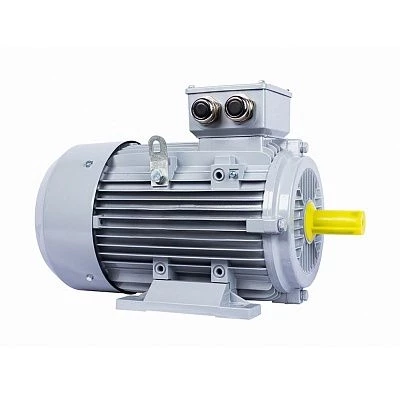 Электродвигатель ESQ PR 132 SB2-SDN-Б1-S12-IE2 7,6/3000 IMB3