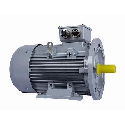 Электродвигатель ESQ PR 112 MA2-SDN-Б1-S12-IE2 4/3000 IMB35