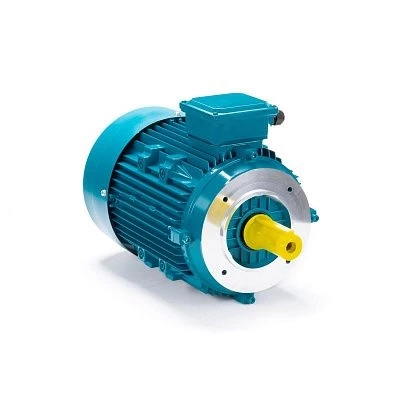 Электродвигатель ESQ 100 LA2-SDN-DS 3/3000 IMB14