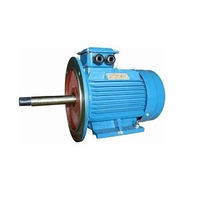 Электродвигатель 5АИ 112 М2Ж 7,6/3000 IM2089