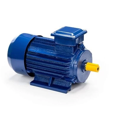 Электродвигатель 5АИ 90 L2 3/3000 IM1081