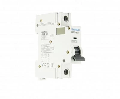 Автоматический выключатель HGD63H 1PMDS0000C D 1P 2А 10kA (DELUXE)
