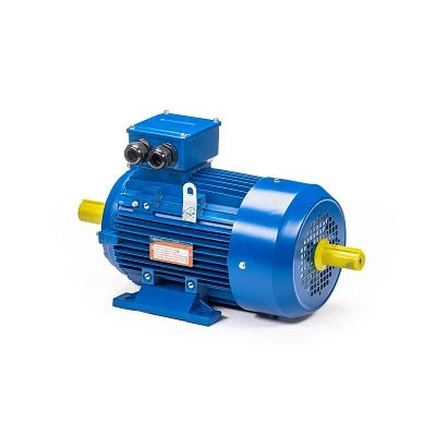 Электродвигатель 5АИ 100 S2 4/3000 IM1082