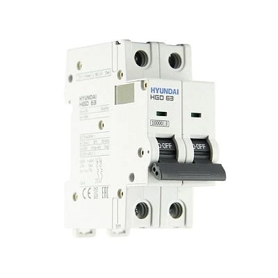 Автоматический выключатель HGD63H 2PMCS0000C C 2P 63А 10kA (DELUXE)