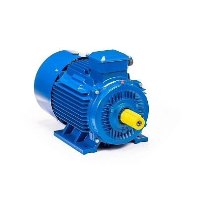 Электродвигатель 5АИ 355 LD4 500/1500 IM1001