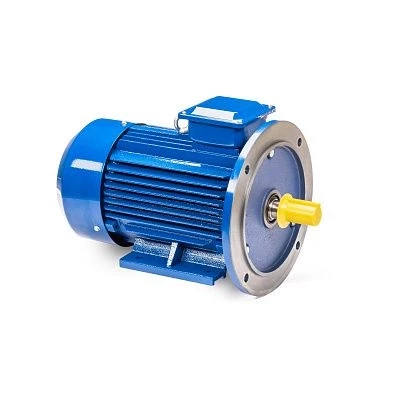 Электродвигатель 5АИ 100 L6 ED 2,2/1000 IM2081
