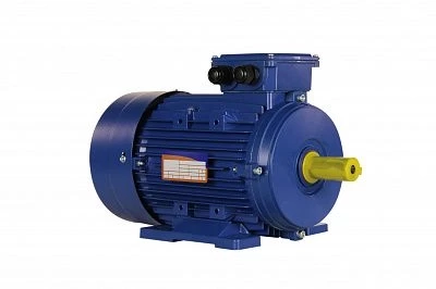 Электродвигатель 5АИ 100 L6 ED 2,2/1000 IM1081