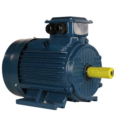 Электродвигатель 5АИ 112 М4 ЕТ 5,5/1500 IM1081