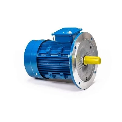 Электродвигатель 5АИ 100 S2 4/3000 IM3081