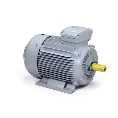 Электродвигатель ESQ PR 355 MA2-SDN-Б1-S12-IE3 250/3000 IMB3