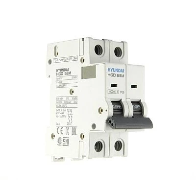 Автоматический выключатель HGD63M 2PMDS0000C D 2P 16А 6kA (STANDARD)