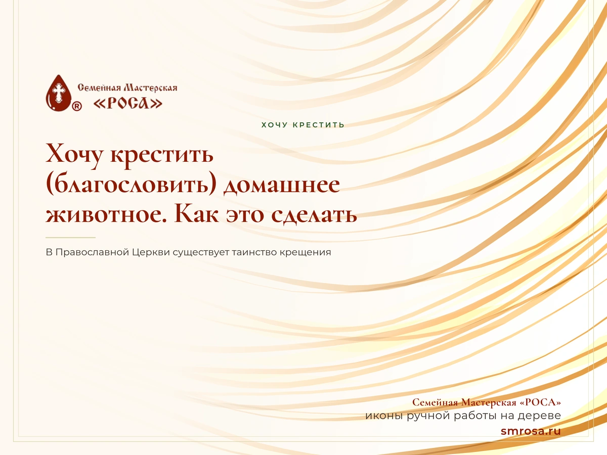 Хочу крестить (благословить) домашнее животное. Как это сделать?