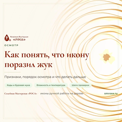 Как понять, что икону поразил жук: признаки, осмотр и что делать