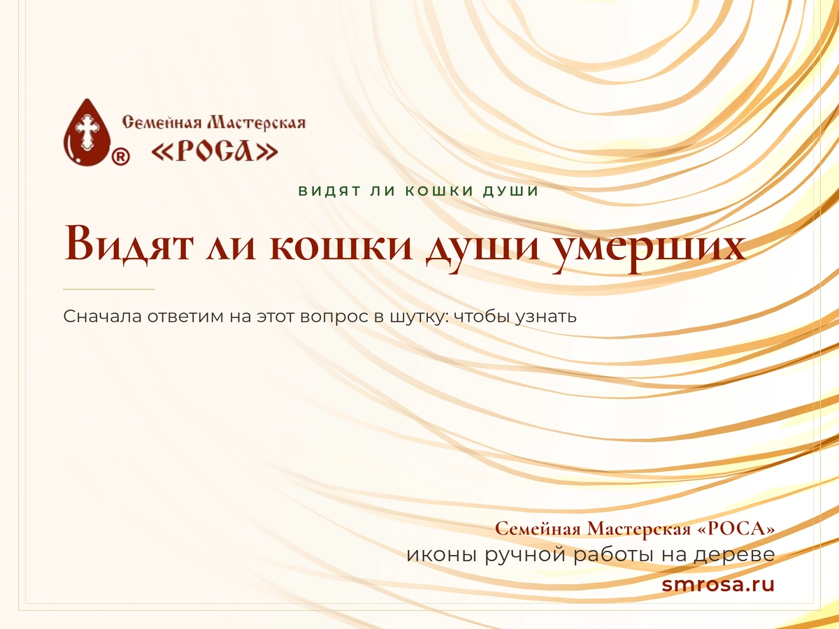 Видят ли кошки души умерших?