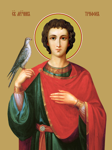 Трифон Апамейский, мученик, 30x40x4 см, арт Ид11211