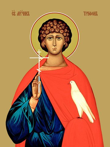 Трифон Апамейский, мученик, 30x40x4 см, арт Ид11212