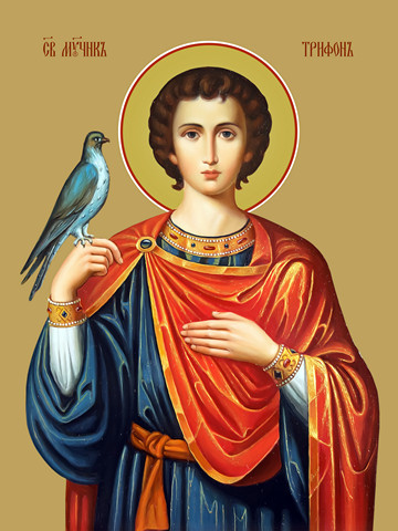Трифон Апамейский, мученик, 30x40x4 см, арт Ид11213