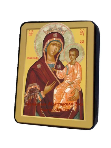 Пресвятая Богородица Избавительница, арт И1086