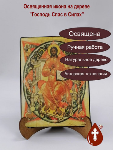Господь Спас в Силах, 9x12x3 см, арт И154-3