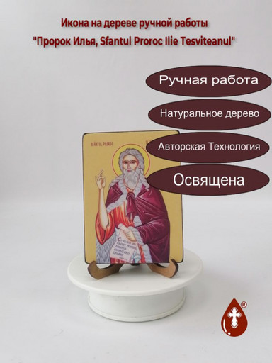 Пророк Илья, Sfantul Proroc Ilie Tesviteanul, 12x16x1,8 см, арт Ид3116