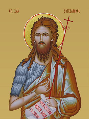 Иоанн Предтеча / Sf. Ioan Botezatorul, 25х34 см, арт И11578