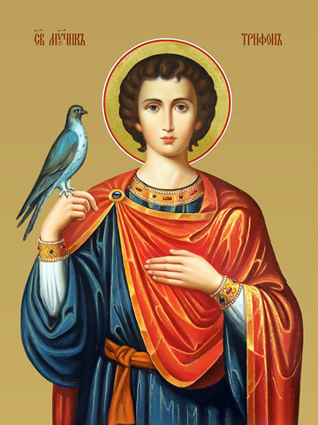 Трифон Апамейский, мученик, 30x40x4 см, арт И13332