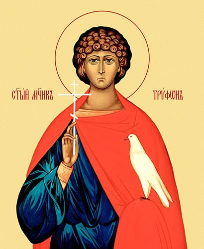 Трифон, мч., 30x40x4 см, арт Ик25007