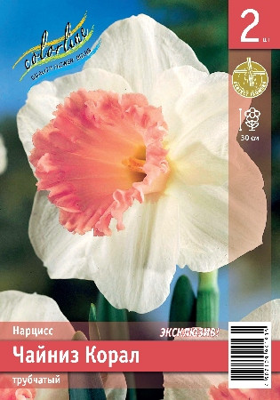 Нарцисс Чайниз Корал