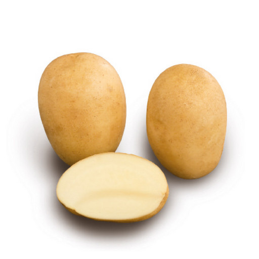 Картофель Гэтсби 1 репродукция средний