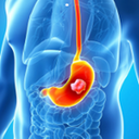 Пищеварительная система