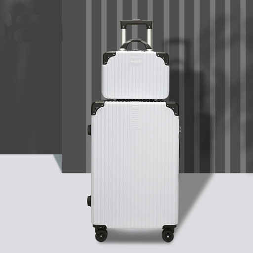 Комплект чемодан + сумка оптом 042
