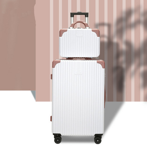 Комплект чемодан + сумка оптом 045