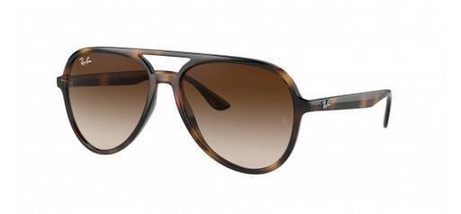 Ray Ban RB4376710/13 Havana