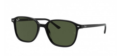 Очки Ray-Ban Leonard RB2193 901/31