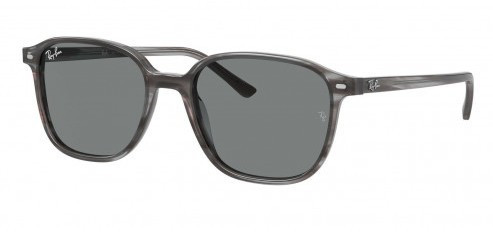 Ray Ban Leonard RB2193 1314B1 / 55 mm