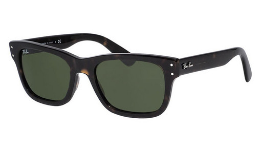 Ray-Ban Mr Burbank RB2283 902/31