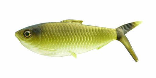 Мягкая приманка 13FISHING The Dine Swimbait 4,25"/ GR