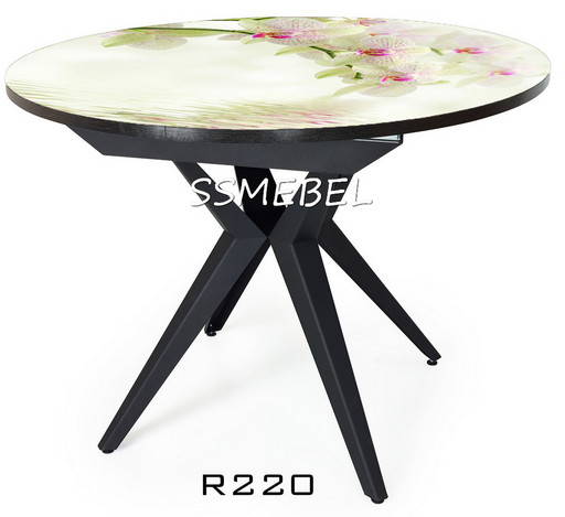 СТОЛ ЛОФТ ЛИОН R-220