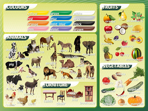 Стенд Цвета животные фрукты овощи для кабинета английского