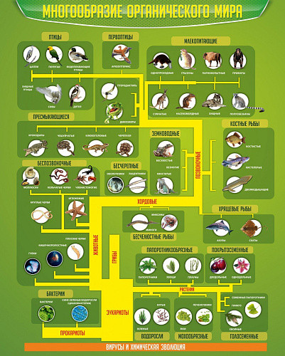 Стенд Многообразие органического мира