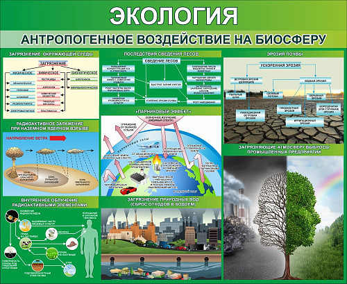 Стенд Экология Антропогенное воздействие на биосферу