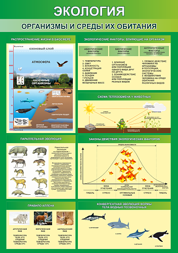 Стенд Организмы и среды их обитания резной