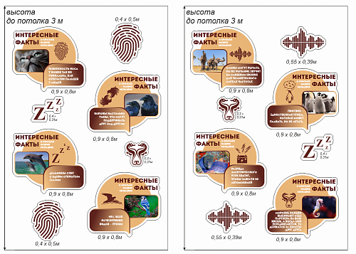 Комплект стендов Интересные факты о животных резных для оформления кабинета биологии