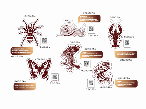 Комплект стендов Классификация животного мира резных для кабинета биологии