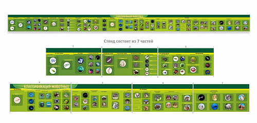 Стенд Классификация групп животных для кабинета биологии