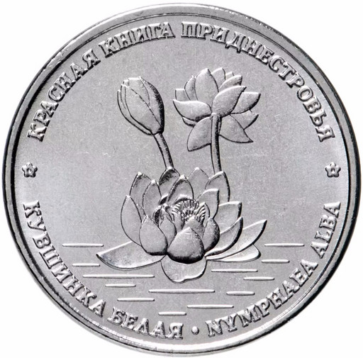 1 рубль Приднестровье 2021 «Кувшинка белая»