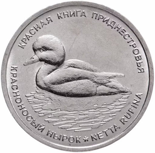 1 рубль Приднестровье 2023 «Красноносый нырок»