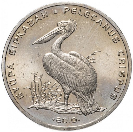 50 тенге Казахстан 2010 «Кудрявый пеликан»