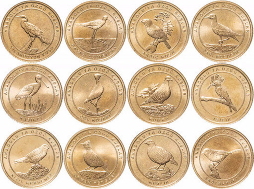 Набор 12 монет 1 куруш Турция 2021 «Фауна - Птицы»